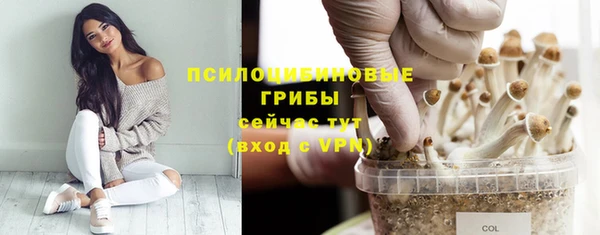 прущий лед Белокуриха
