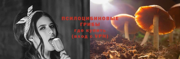 прущий лед Белокуриха