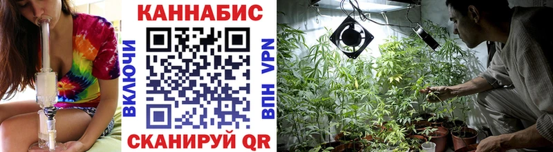 Конопля индика  Воскресенск 
